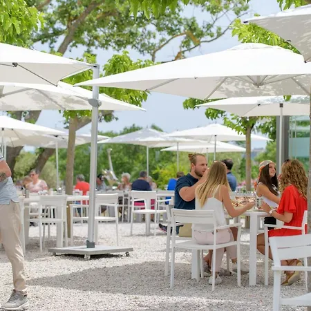 Aparthotel Clos Des Oliviers - Meuble De Tourisme Grimaud
