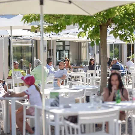 Clos Des Oliviers - Meuble De Tourisme 4* Grimaud